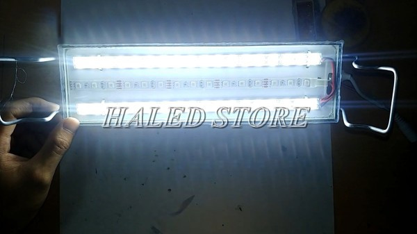 Sản phẩm chế đèn hồ cá biển hoàn thiện