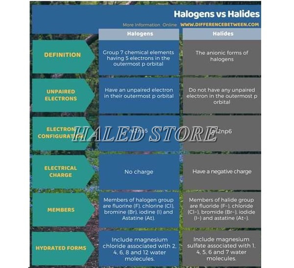 Sự khác nhau giữa Halogen và Halide