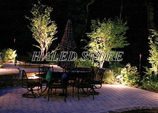 Ứng dụng của đèn LED chiếu cây trong trang trí khu vườn