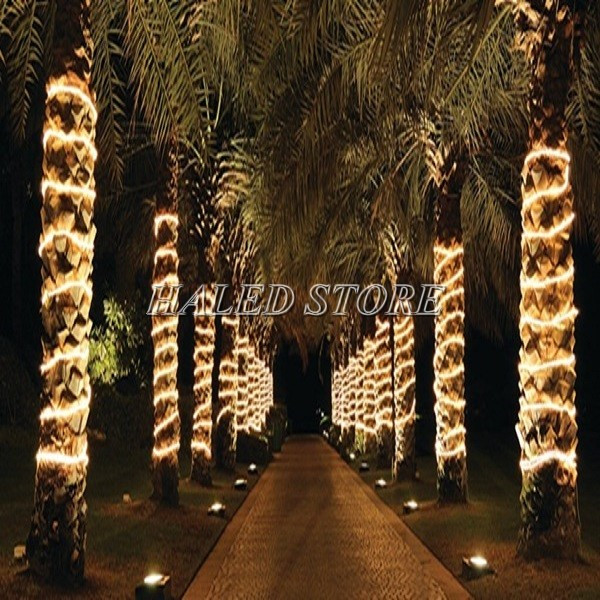 Ứng dụng chiếu sáng đèn led dây 24v