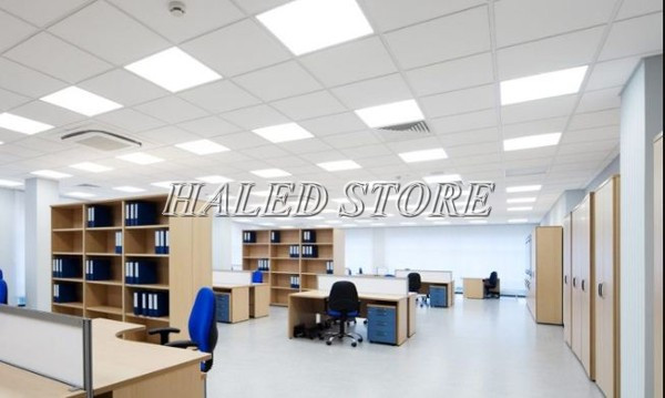 Ánh sáng trắng được sử dụng chiếu sáng phòng làm việc 