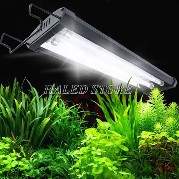 Đèn Odyssea được sử dụng rộng rãi vào việc chiếu sáng bể thủy sinh