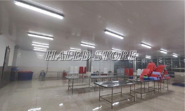 Đèn tuýp LED chống ẩm ứng dụng trong nhà xưởng chế biến thủy sản  