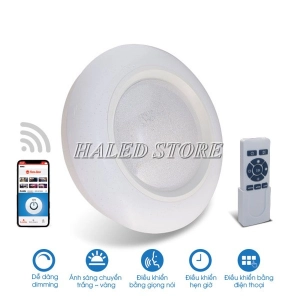 den-op-tran-hlrd-ln20ble-500-40-1