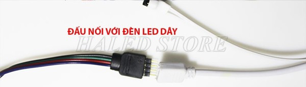 Đấu nối đèn LED dây 12V bằng giắc cắm  