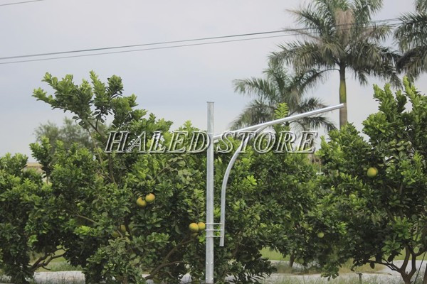 Cần đèn đơn kiểu dáng độc đáo