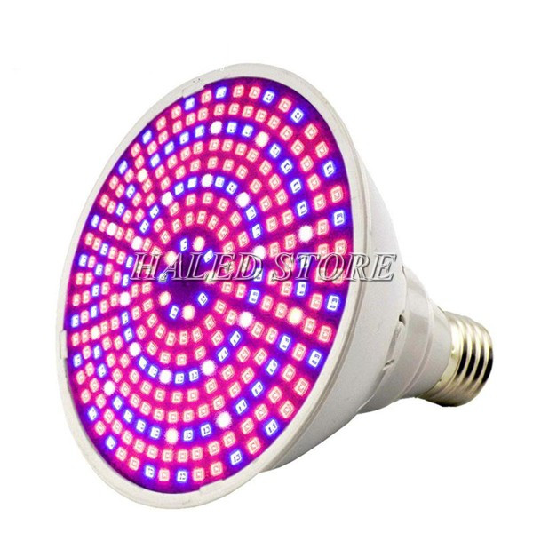 Đèn led giúp cây quang hợp khi trồng trong nhà