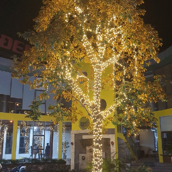 Đèn quấn thân cây thêm nổi bật và thu hút hơn