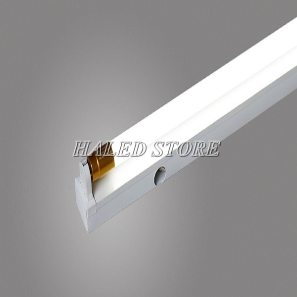 Mẫu đèn huỳnh quang