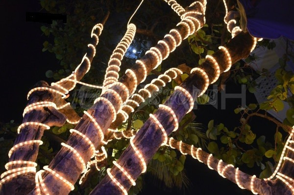 Đèn LED dây quấn thân cây ngoài trời nổi bật