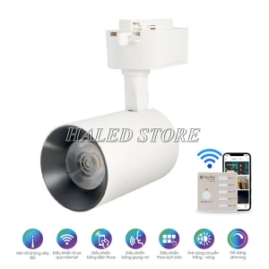 den-roi-ray-hlrd-trl04ble-20-1