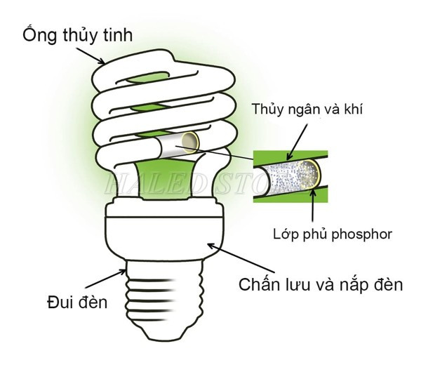 Cấu tạo đèn compact 