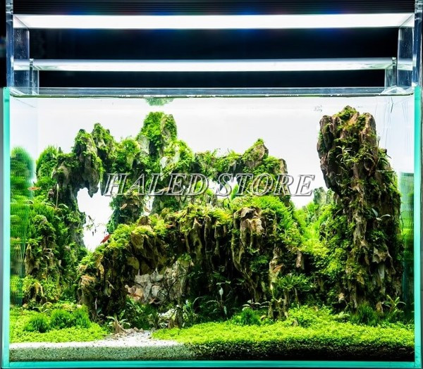 Đèn LED thanh gắn hồ cá 1 bóng