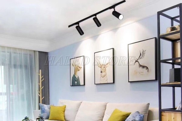 Đèn ray rọi tranh trang trí phòng khách 