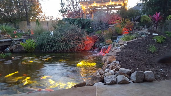 Đèn trang tri hồ cá KOI