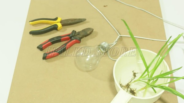 Các dụng cụ cần thiết để làm chậu cây từ bóng đèn cũ 