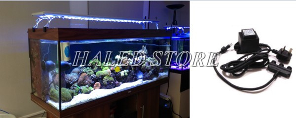 Lắp bộ chuyển đổi nguồn cho bể cá