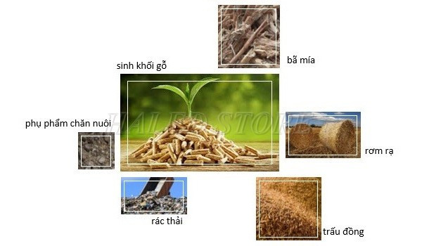 Một số vật chất tái tạo sinh khối 