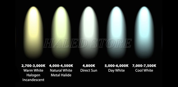 Dải nhiệt độ màu cho đèn LED và đèn huỳnh quang 