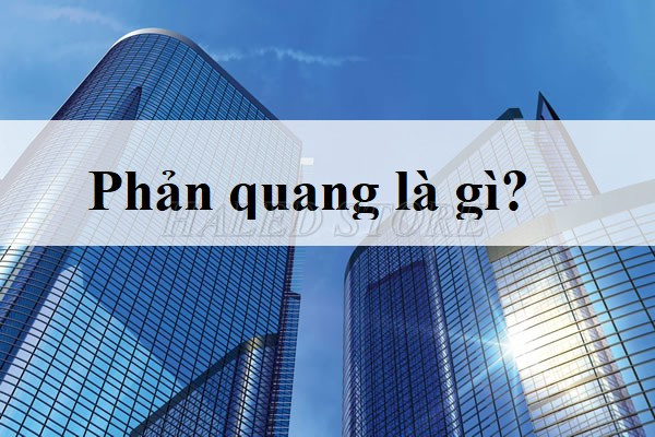 Phản quang là gì? 