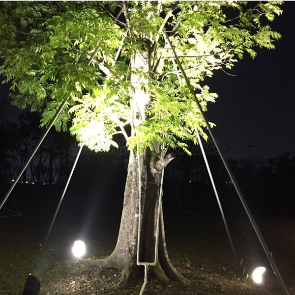 Đèn ứng dụng chiếu sáng tạo điểm nhấn bắt mắt