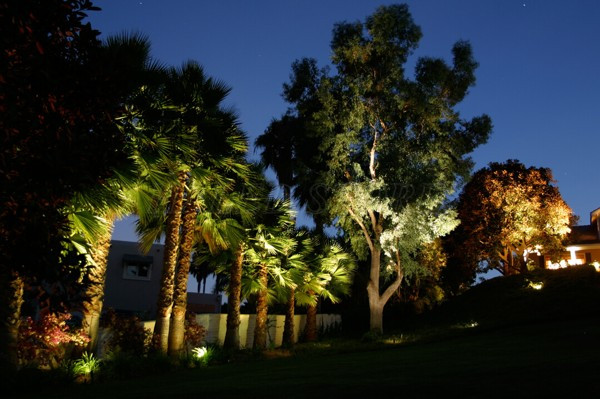 Đèn ứng dụng chiếu sáng hiệu quả