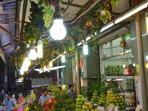 Đèn ứng dụng chiếu sáng hiệu quả