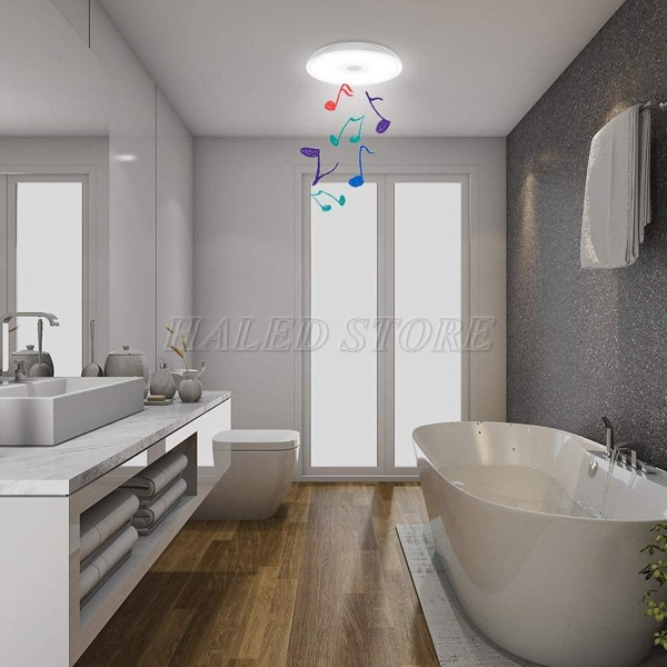 Đèn ốp trần chiếu sáng phòng tắm 