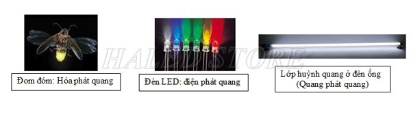 Một số loại hiện tượng phát quang phổ biến 
