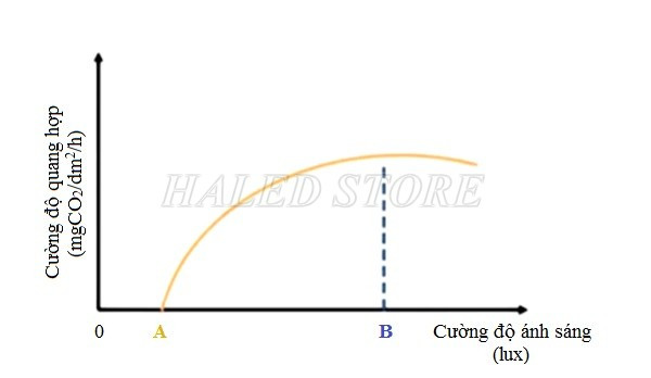 Đồ thị cường độ ánh sáng cho cây trồng 