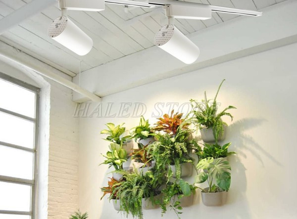 Đèn rọi ray chiếu cây treo tường 