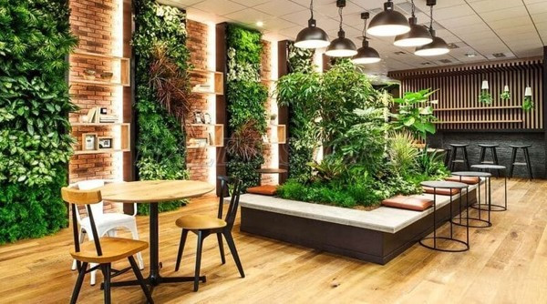 Trồng cây bằng đèn LED mô hình vườn đứng 