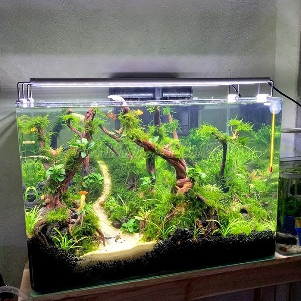 Kiểu dang bóng đèn bể cá 80cm RGB (đổi màu linh hoạt)