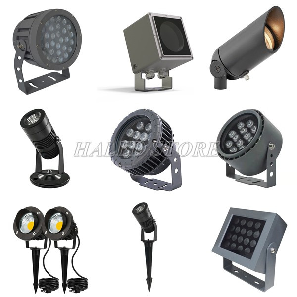 da-dang-kieu-dang-den-pha-roi-cay-xanh