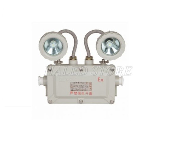 Đèn khẩn cấp chống nổ Paragon 