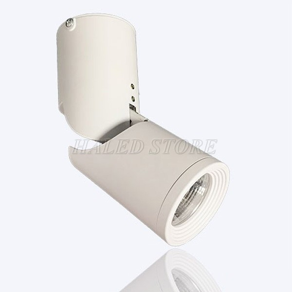 Đèn rọi ngồi 20w HLRN10