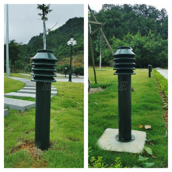 vi-tri-lap-dat-den-nam-cay-thong