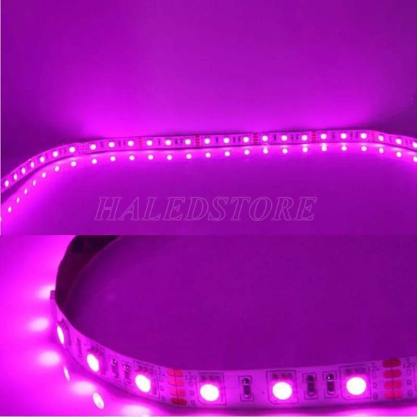 anh-sang-mau-hong-cuc-ki-doc-dao