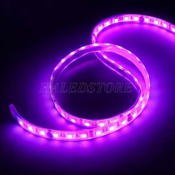 anh-sang-mau-tim-cuc-ki-doc-dao