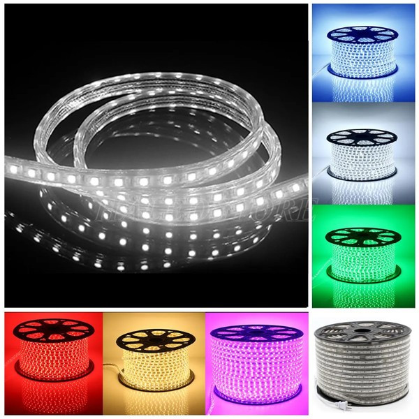 da-dang-mau-sac-chieu-sang