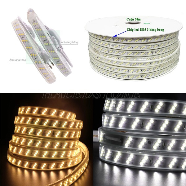 day-den-led-220v-3-hang-bong