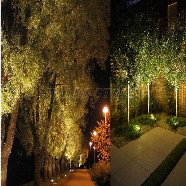 Đèn chiếu cây sử dụng trong công viên