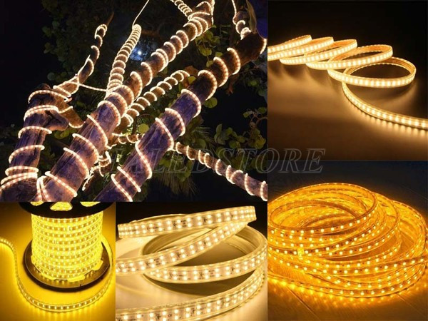 den-led-day-quan-cay