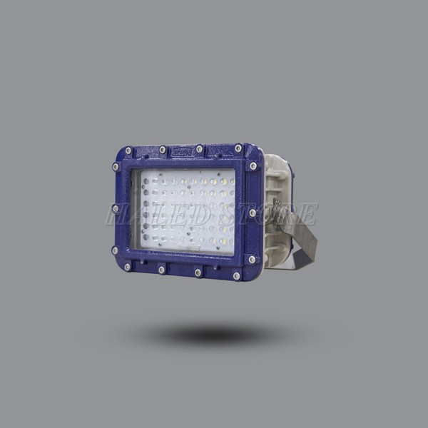Kiểu dáng đèn LED chống cháy nổ HLPR ELL601-100