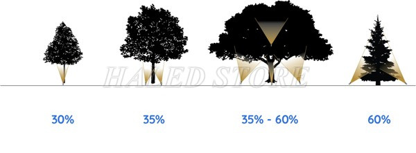 goc-mo-chieu-hat-cay-cong-vien