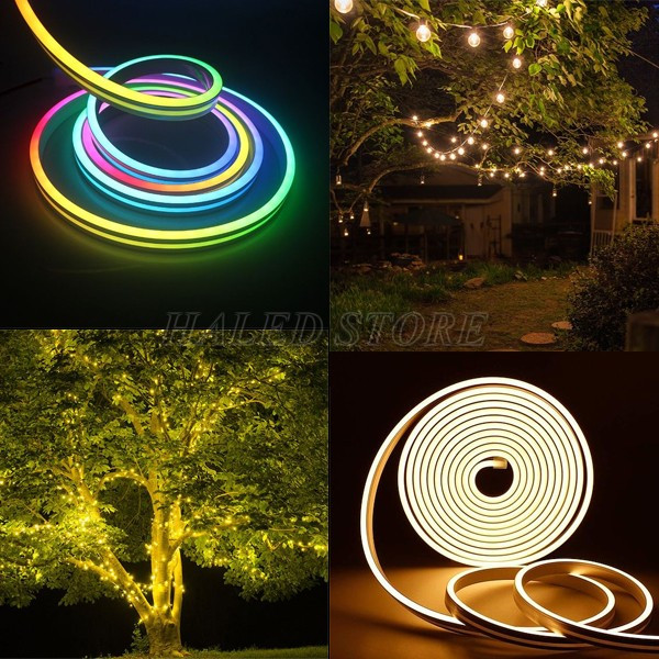 led-day-da-mau-sac-chieu-sang-canh-quan