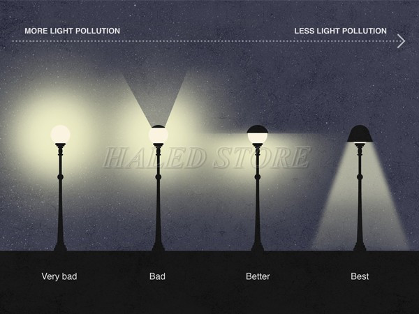 lua-chon-kieu-dang-den-chieu-sang-trang-am