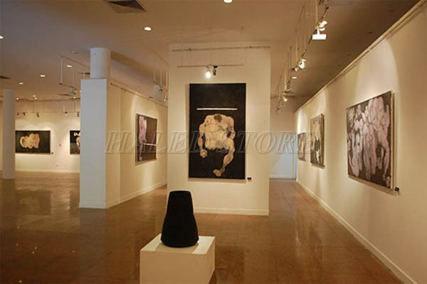 Thiết kế tạo ánh sáng tập trung trong phòng triển lãm 