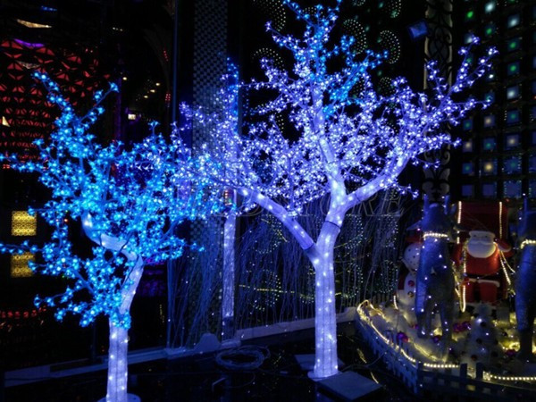 trang-tri-cay-cuc-ki-an-tuong