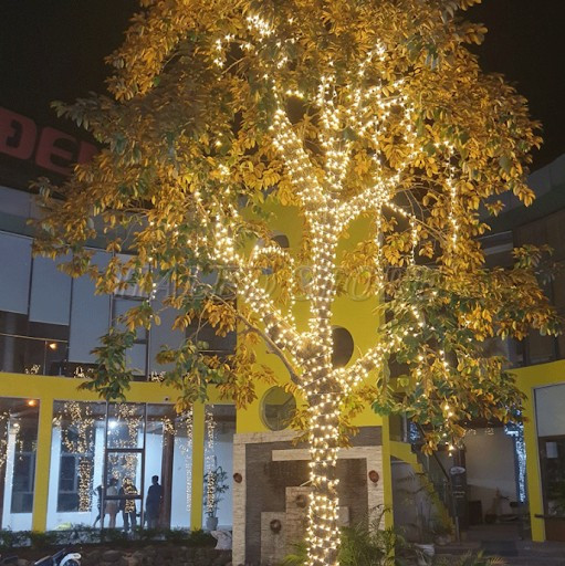 trang-tri-phat-sang-cay-ngoai-troi-lung-linh